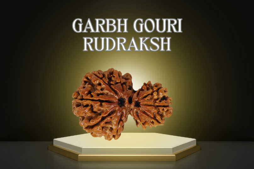 Garbh Gauri Rudraksha: A Divine Blessing for Motherhood and Fertility