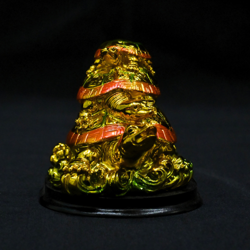 Triple Layer Color Tortoise Image