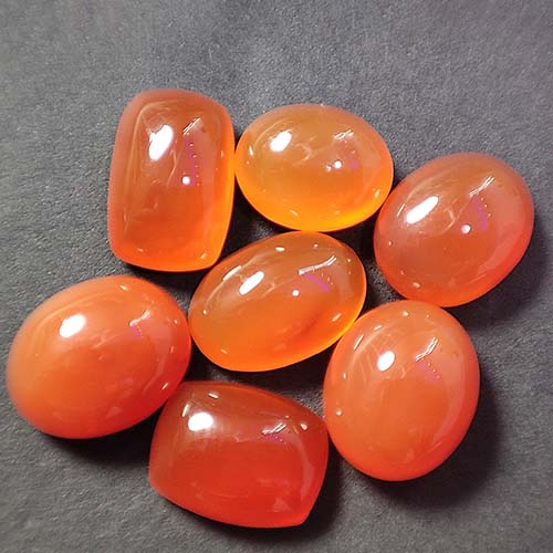 Red carnelian tree