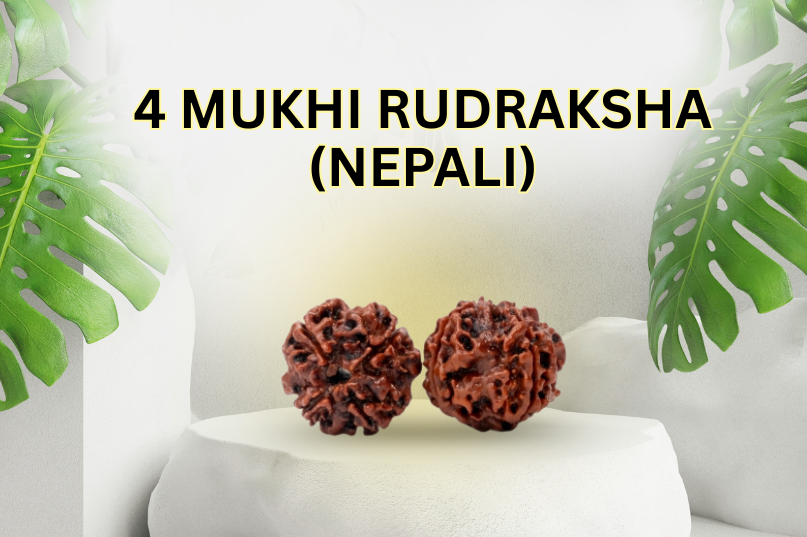 4 Mukhi Rudraksha (Nepali): A Sacred Bead for Knowledge, Confidence & Communication