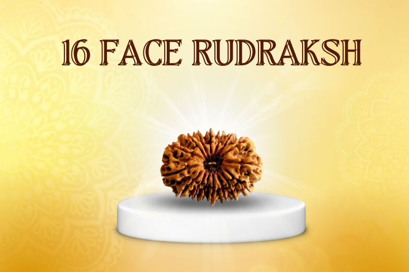 16 Face Rudraksha (Nepali): A Shield of Protection, Health & Victory Over Fear