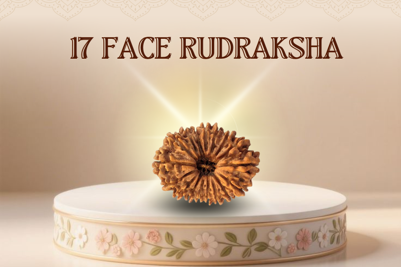 17 Face Rudraksha (Nepali): The Bead of Divine Abundance, Intuition & Prosperity