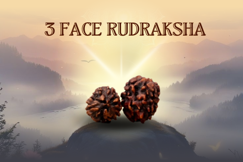 3 Face Rudraksha (Nepali): A Symbol of Purity, Power & Spiritual Transformation