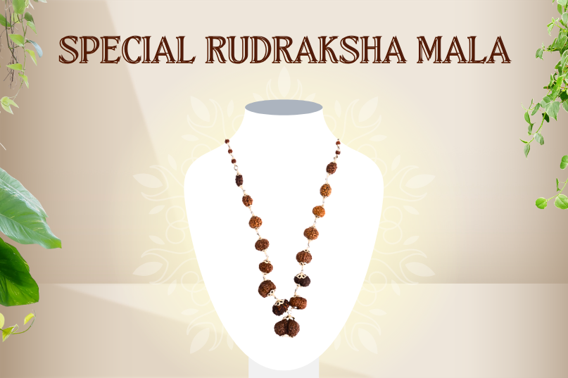 Special Rudraksha Mala (2 to 10 Face with Gaurishankar): A Sacred Combination for Balance, Blessings & Spiritual Power