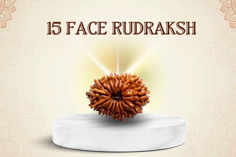 15 Face Rudraksha (Nepali): A Bead of Divine Love, Wisdom & Abundance