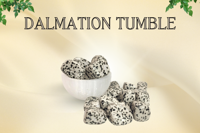 Dalmation Tumble Image