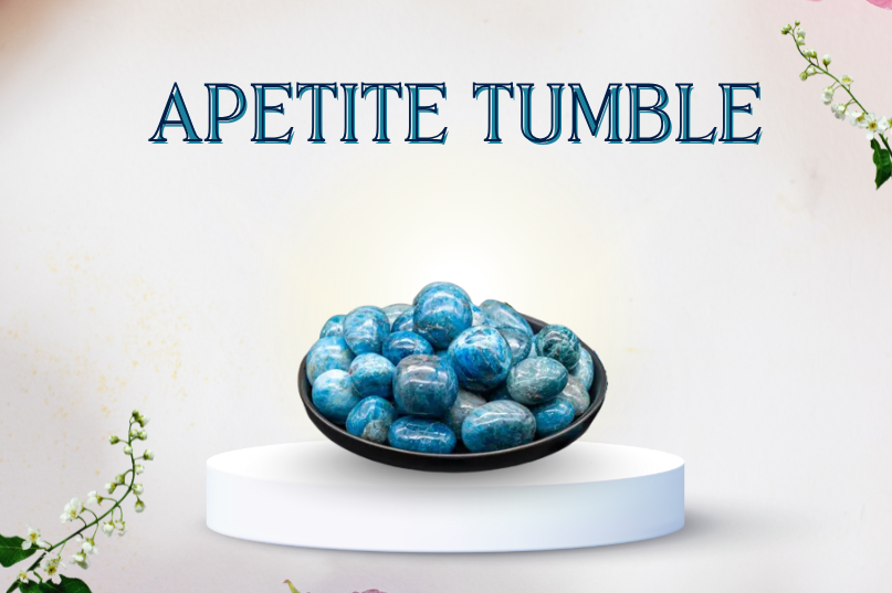 Apetite Tumble Image