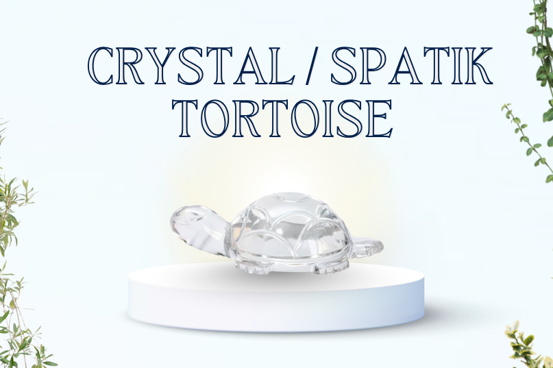 Crystal/Spatik Tortoise: Stability, Protection & Energy Amplification