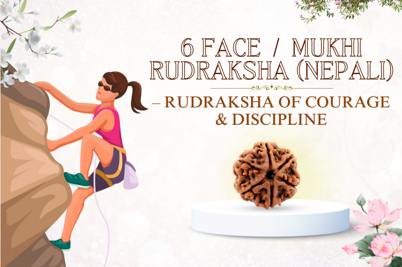5 Face Rudraksha (Nepali) Image