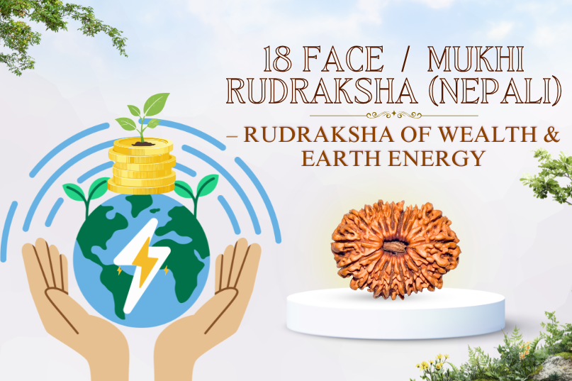 18 Face Rudraksha (Nepali) Image
