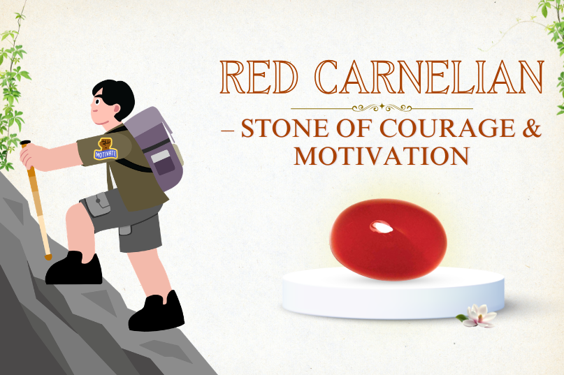 Red Carnelian – Stone of Courage & Motivation: Ignite Confidence, Energy & Action