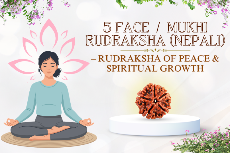 5 Face Rudraksha (Nepali) Image