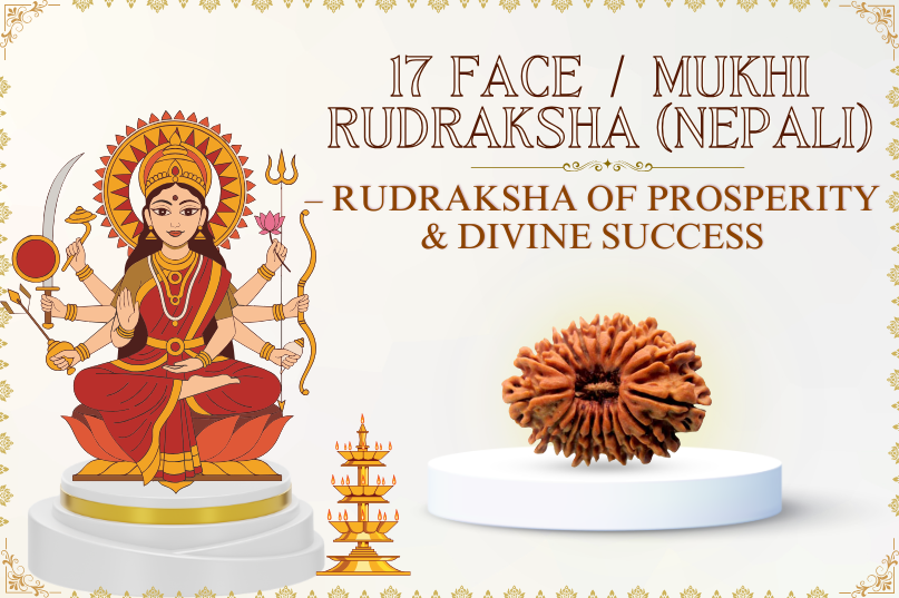 17 Face Rudraksha (Nepali) Image
