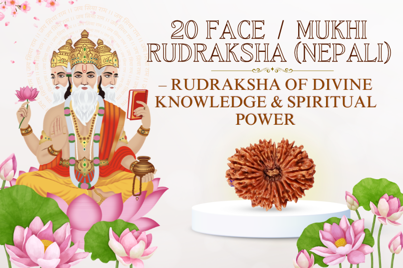 20 Face Rudraksha (Nepali) Image