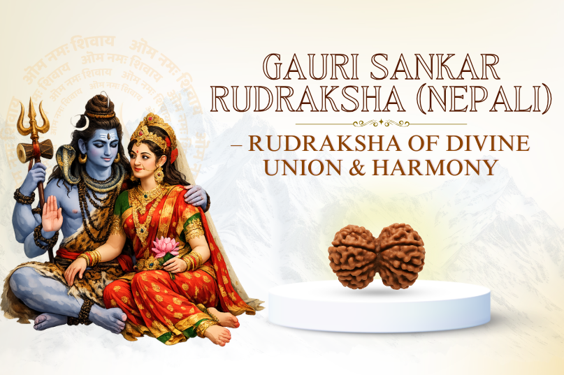 Gauri Sankar Rudraksha (Nepali) Image