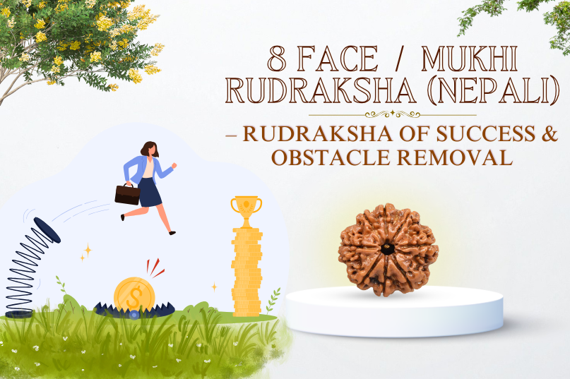 8 Face Rudraksha (Nepali) Image