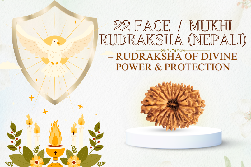 22 Mukhi Rudraksha (Nepali) – The Sacred Bead of Divine Power, Protection & Limitless Success