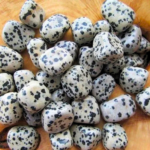 Dalmation Tumble